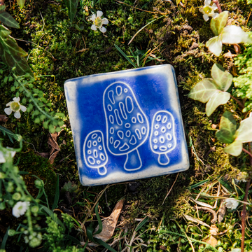 Morel Mushroom Tile