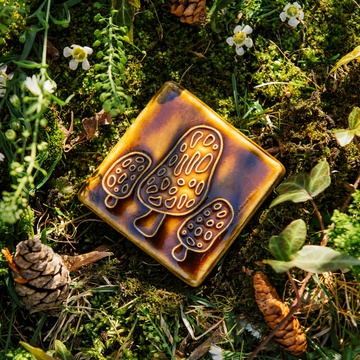 Morel Mushroom Tile