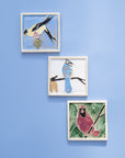 Sligo Creek | Hand-Painted Bird Tile Collection